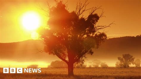 Melbourne records hottest day of 2022 .